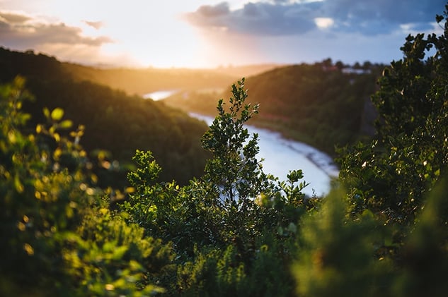 Tree tops and forest with lake and valley and cloudy sunset