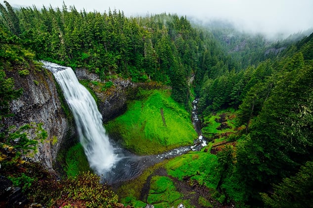 Waterfall plunging into forest canyons and rivers