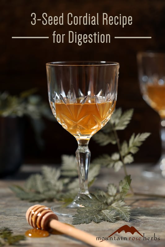 3-Seed Digestive Cordial Pinterest Pin from Mountain Rose Herbs and Kami McBride's "The Herbal Kitchen"