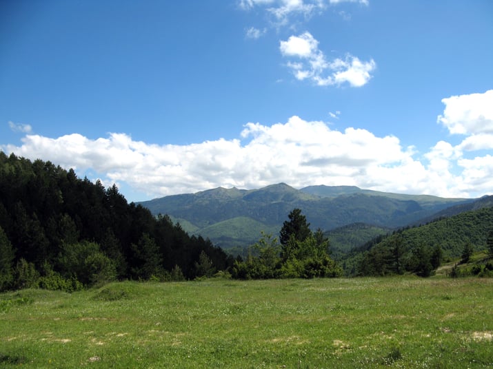 Landscape in Albania with view of green grassy field and nearby mountains 