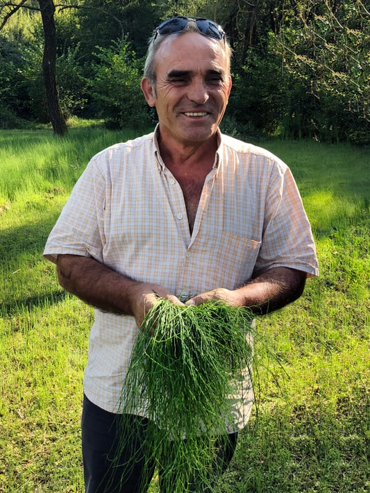 An Albanian farmer smiles as he shows off his freshly picked horsetail. Surrounded by green grass and trees, he looks very happy. 