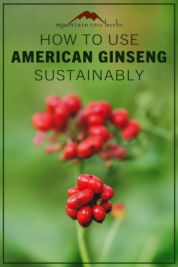 Pinterest Image to American Ginseng Monograph