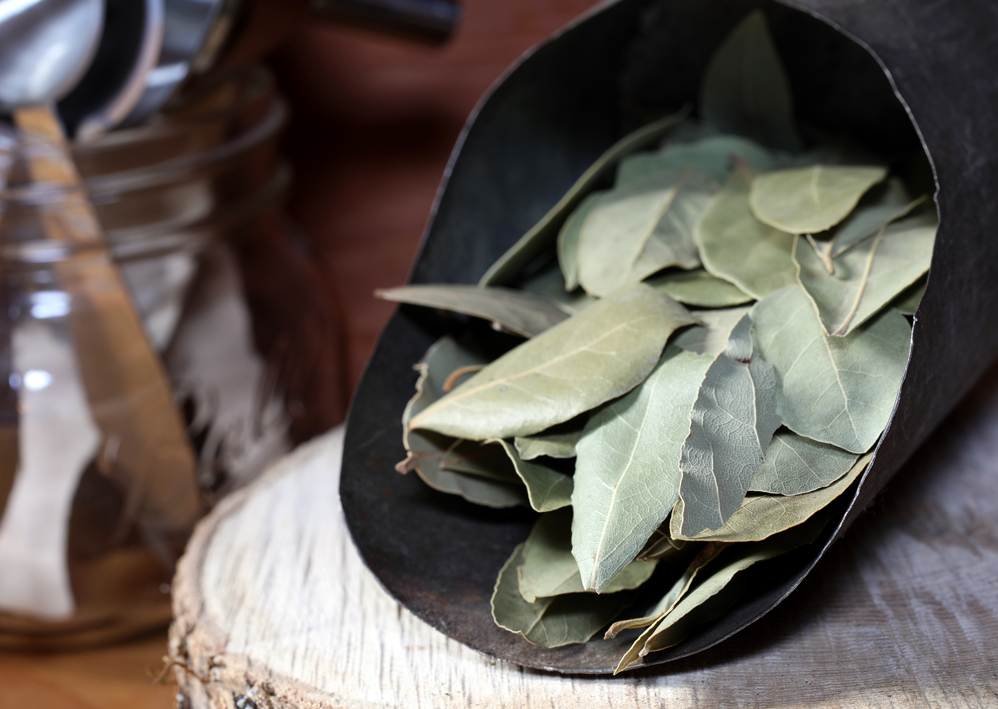 Bay Leaves in herbal apothecary near cooking utensils