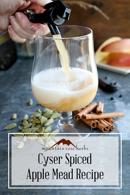 Pin for Cyser Spiced Apple Mead Post