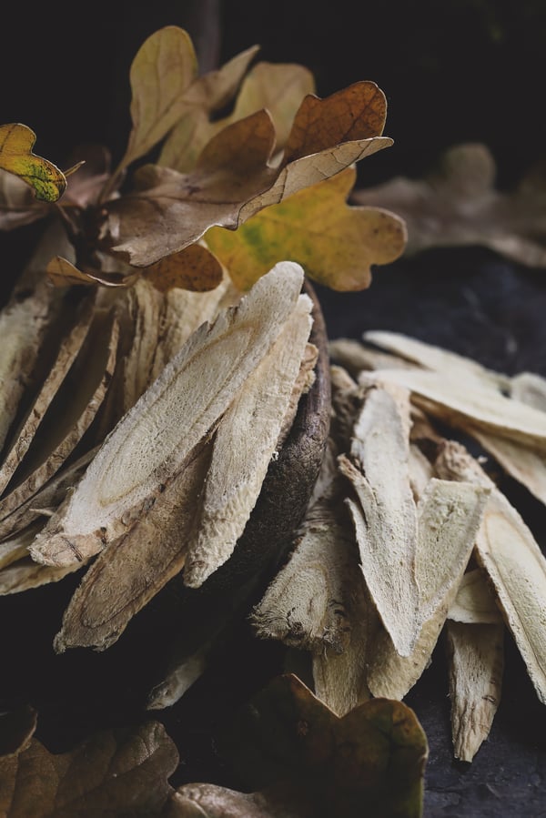 Astragalus root with autumn leaves.