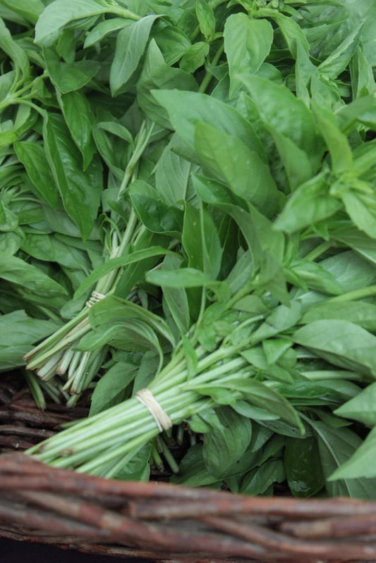 Close up of bunches of fresh basil from farmers market