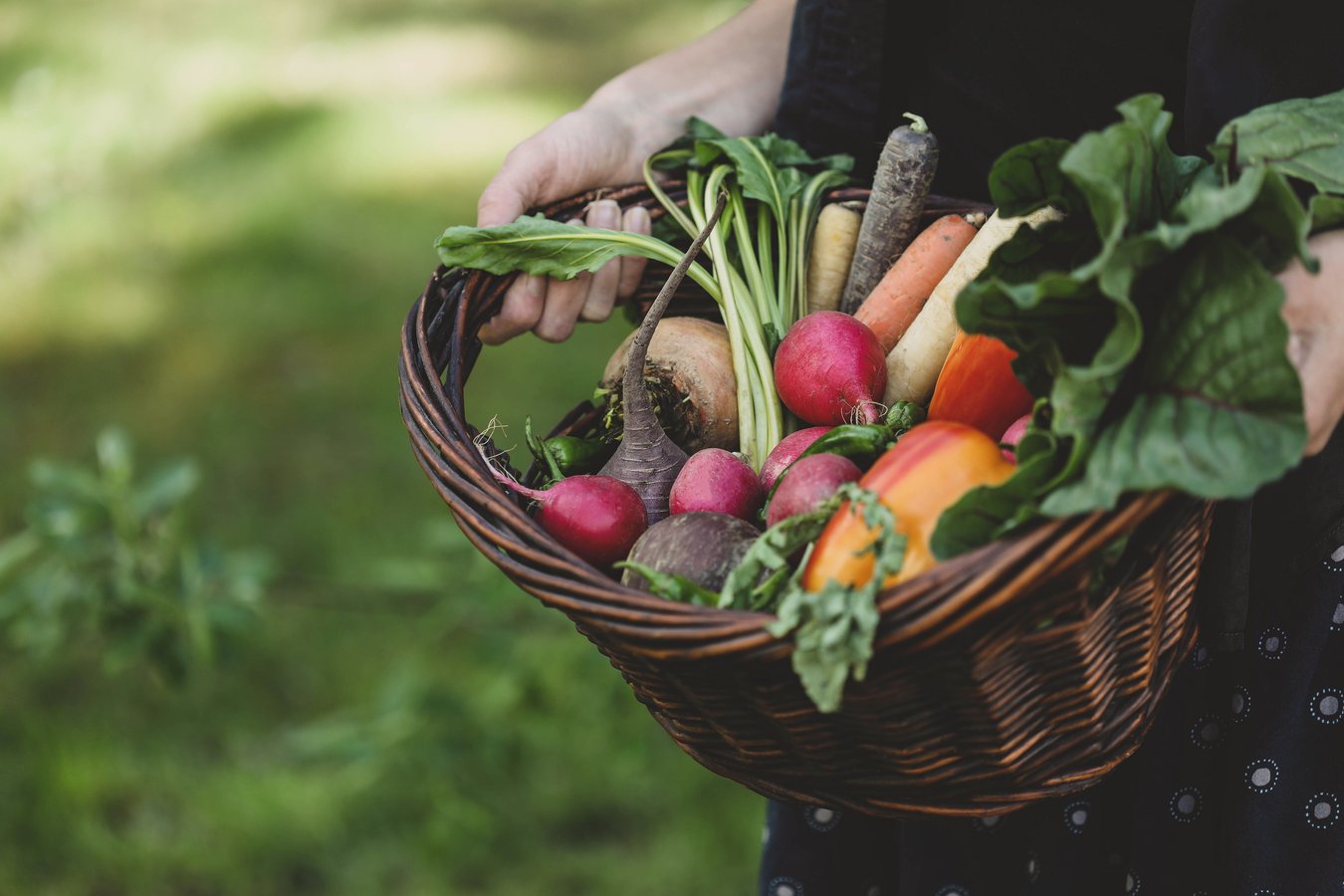 A basket filled with a rainbow of organic vegetables.