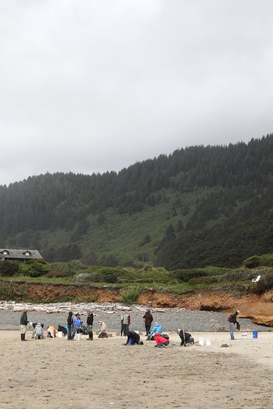 People standing and kneeling to pick up trash on sand on Oregon Coast