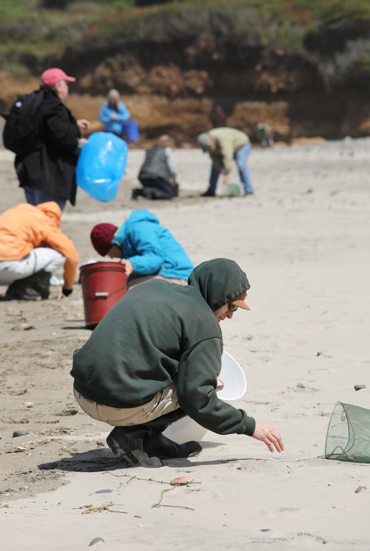 Person bending down on sand to pick up trash