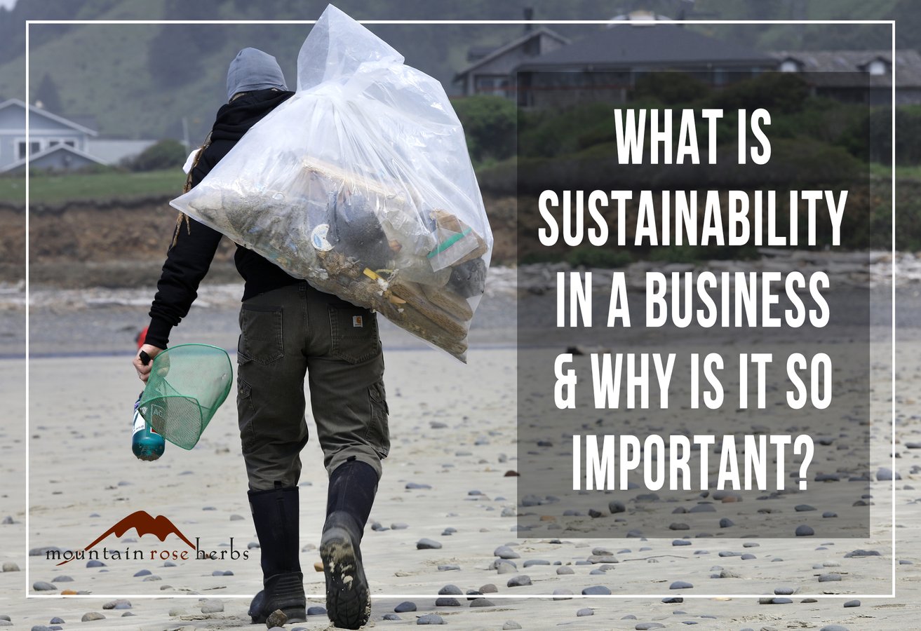 What is Sustainability in Business Pinterest pin for Mountain Rose Herbs