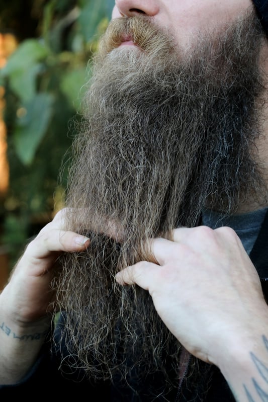 Man's fingers coming through beard in a natural setting. 