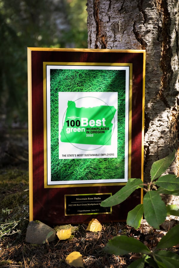100 Best Green Plaque