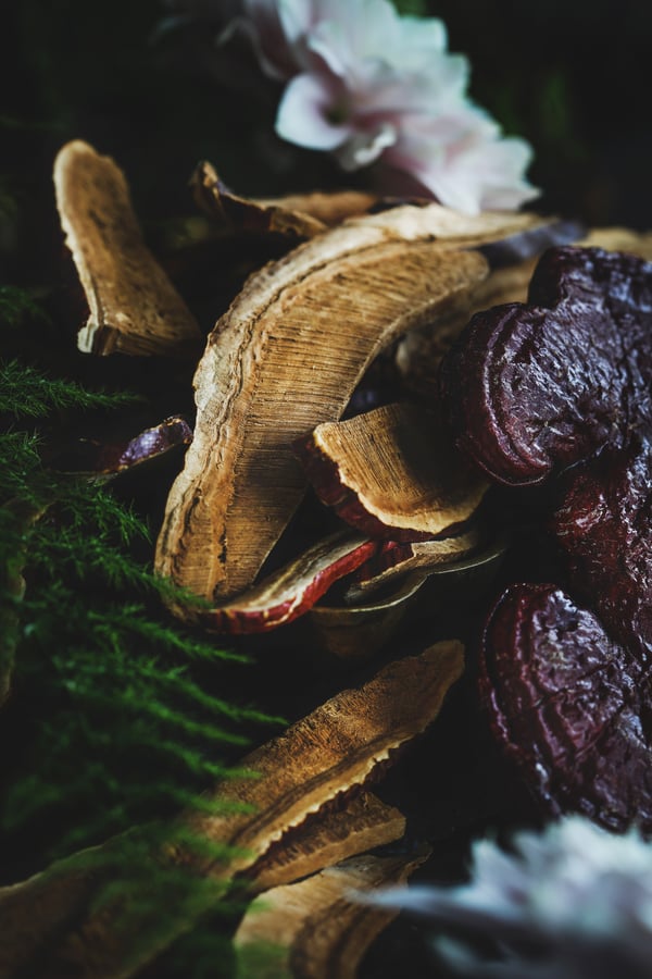An up close photo of reishi mushroom slices