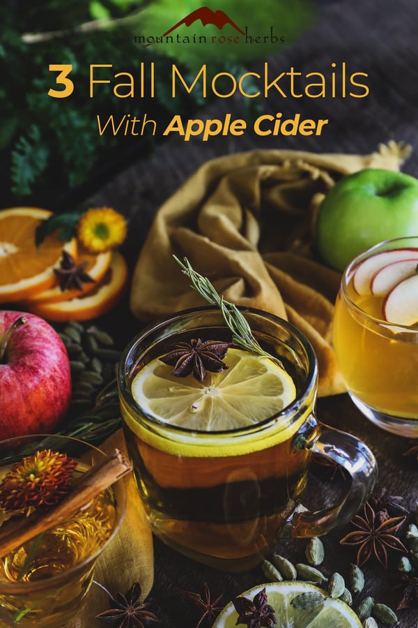 Pinterest image for 3 Fall Mocktails With Apple Cider Post