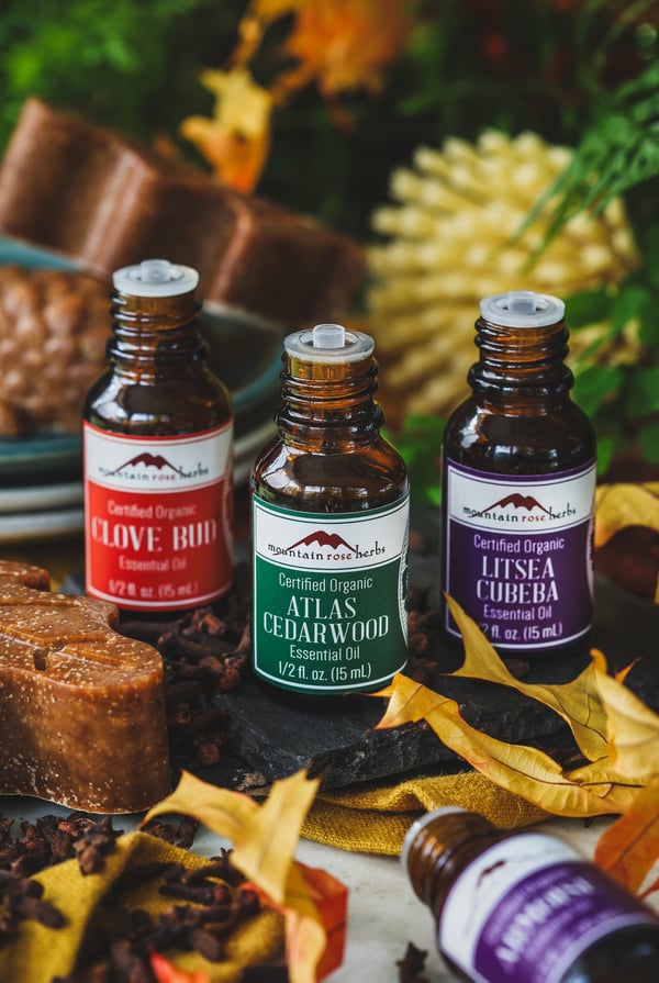 Autumn dish soap bars essential oils