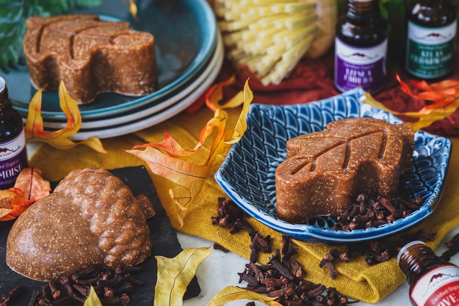 Autumn dish soap bars