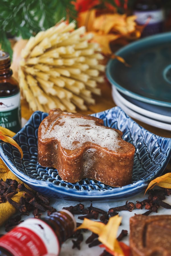 Autumn dish soap bars in use