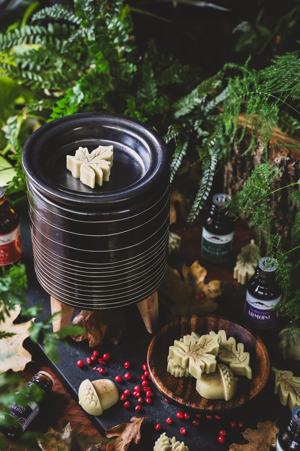 A wax melt sits on warmer surrounded with ingredients for wax melts