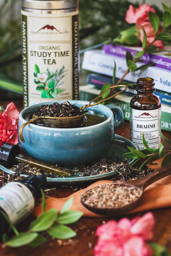A freshly brewed cup of study time tea with other herbs to support focus nearby