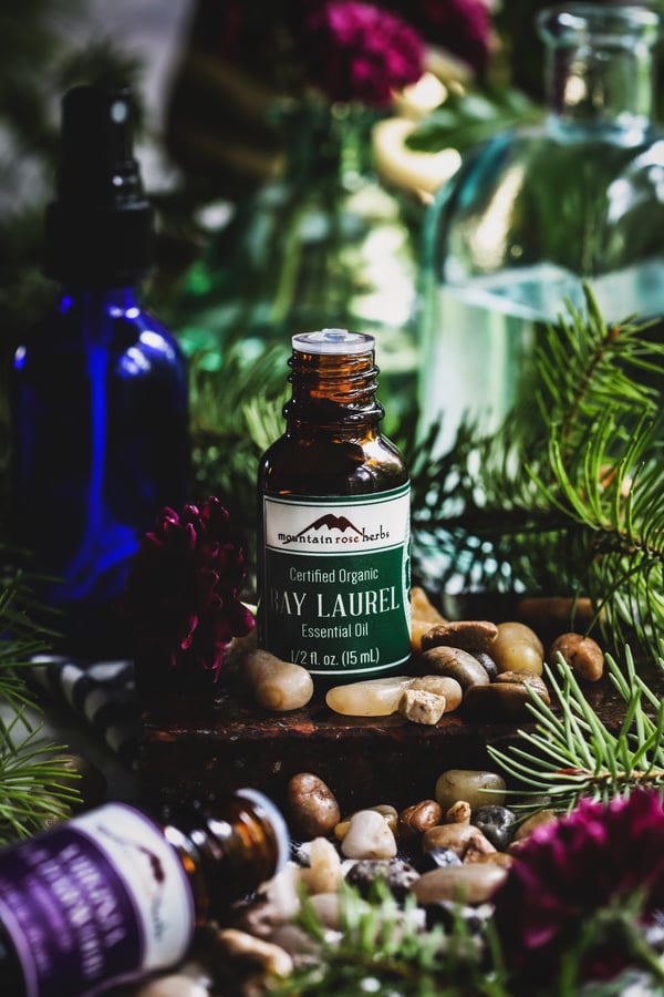 bottle of bay laurel essential oil surrounded by small stones and fresh plants. 