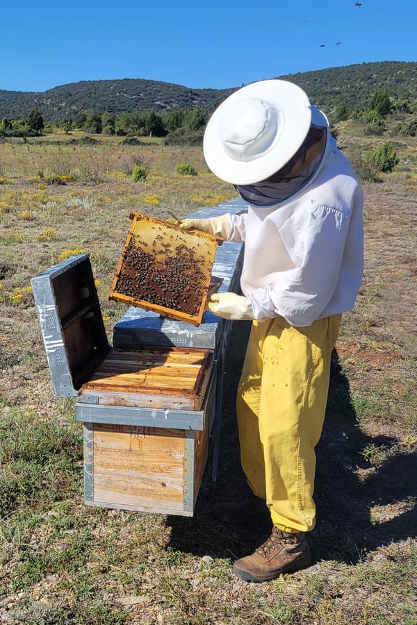 Bee Pollen Famer 1