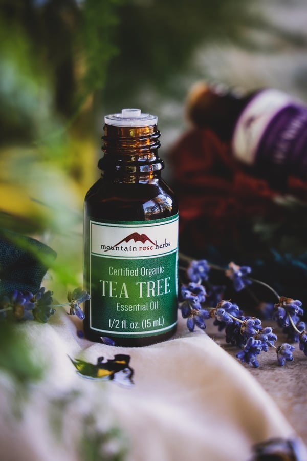 Bottle of tea tree essential oil surrounded by lavender flowers and a tea towel with bees on it. 