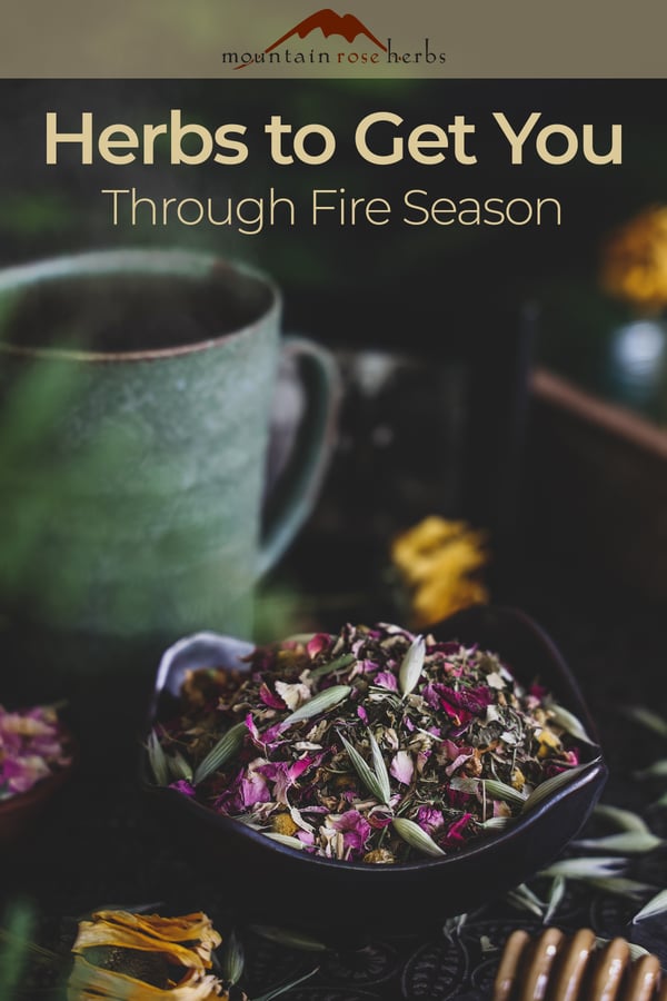 Pinterest  Image for Breathing Easily Through Fire Season Blog