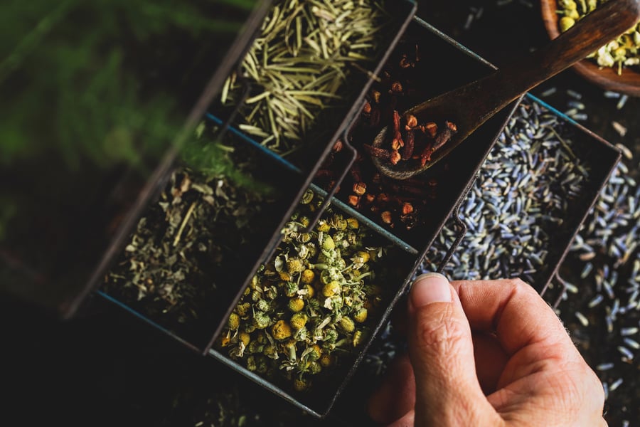 A hand opens small drawer of dried chamomile, cloves, rosemary, and lavender