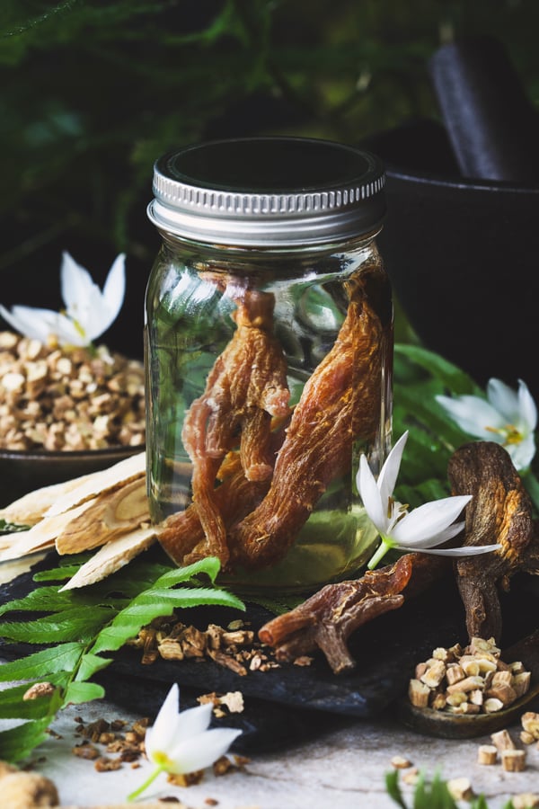 Ginseng root macerates in a jar of high proof alcohol