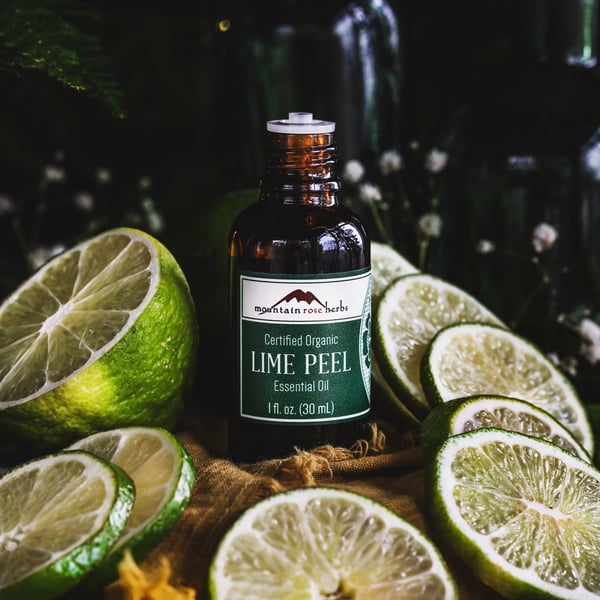 Lime peel essential oil sits amongst lime slices