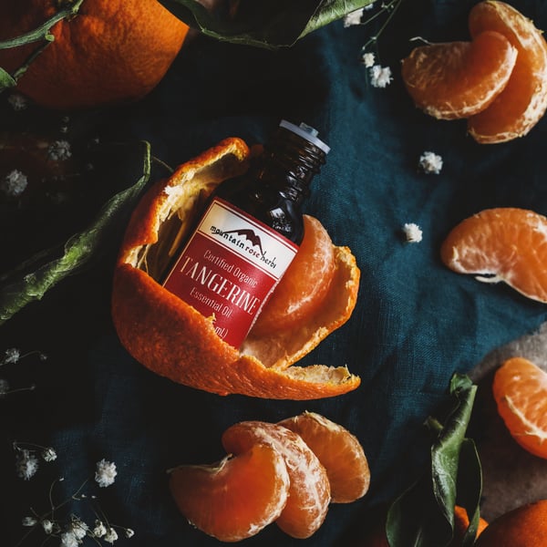Tangerine essential oil rests in the peels of a tangerine