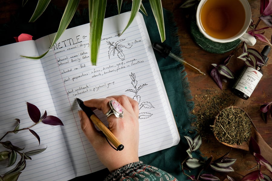 An overhead view of someone studying and taking notes about stinging nettle