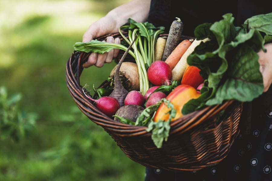 A basket of fresh veggies is held