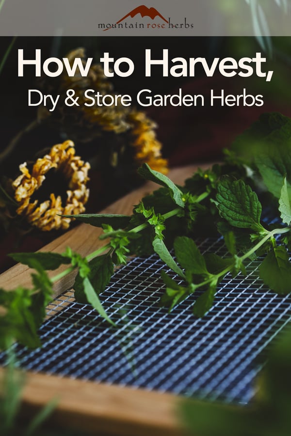 Pinterest Photo to blog on how to harvest, dry, and store garden herbs.