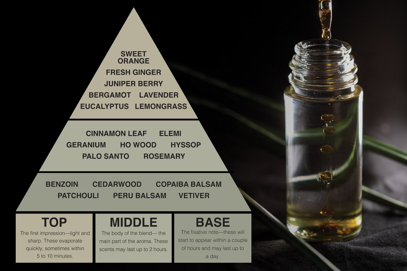 Essential oil Blending Infographic on fragrance notes