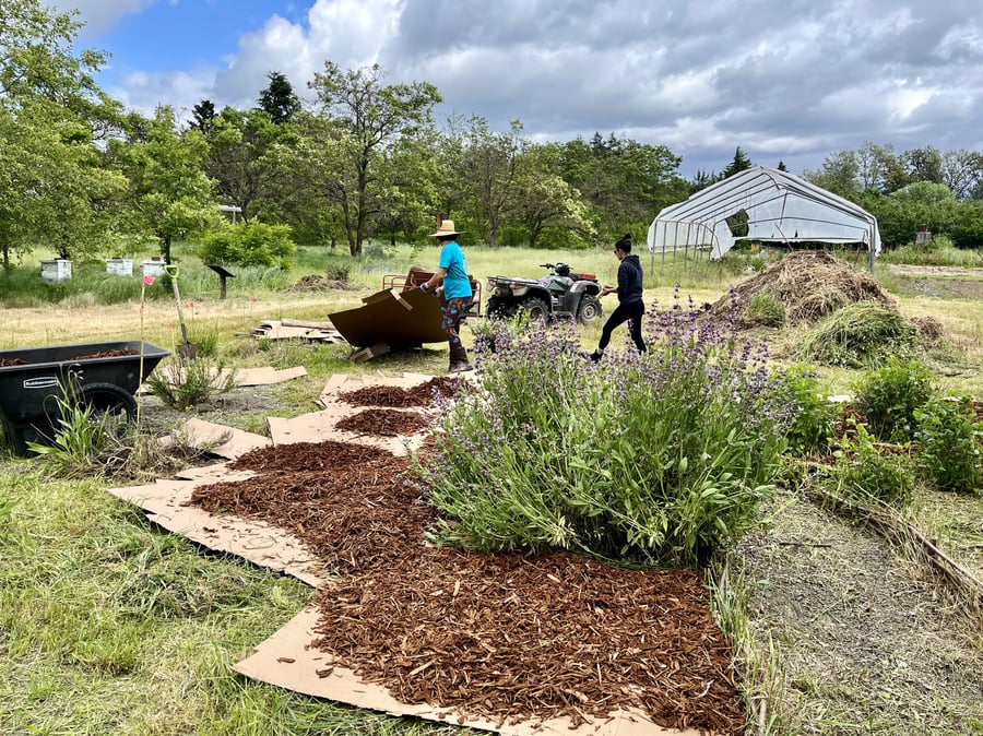 The learning garden in full bloom with fresh mulch