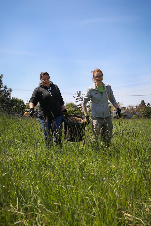 Two members of green team work to haul a bucket of mulch through worksite