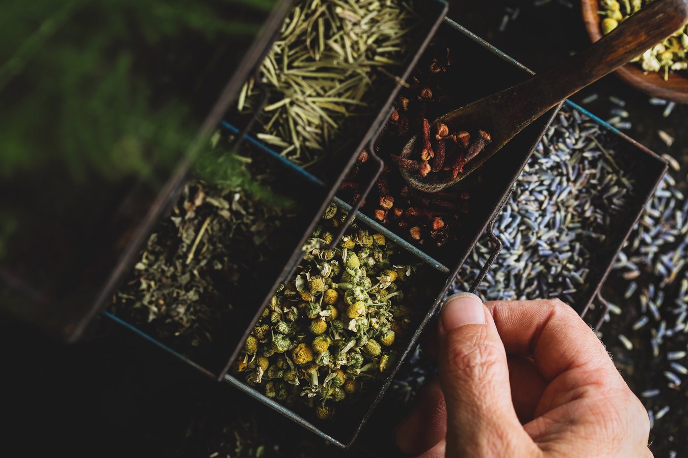 A variety of dried herbs in a spice box.