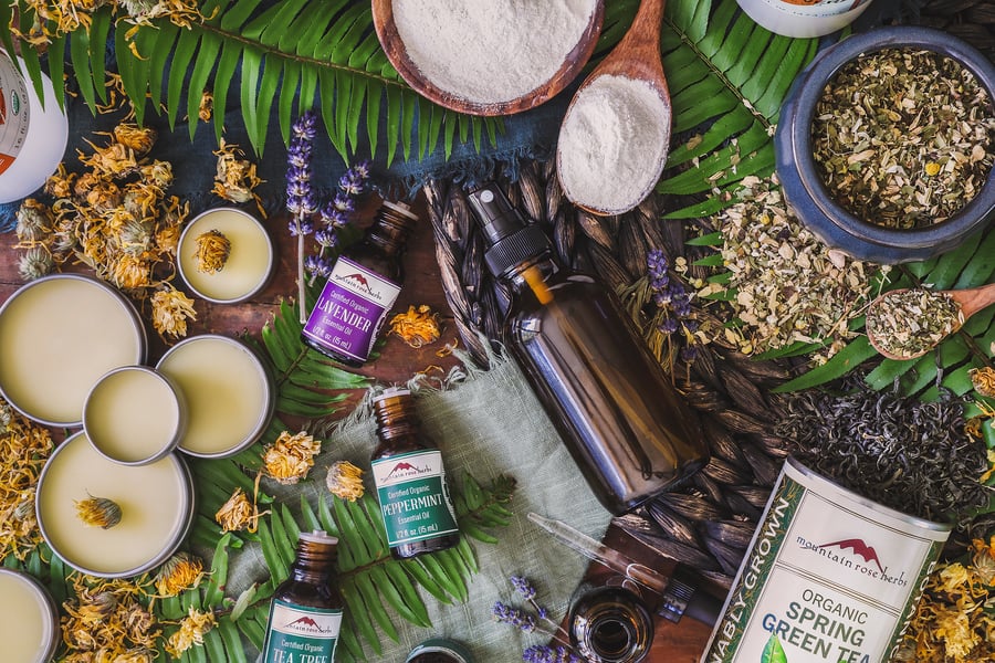 Herbal Recipes for Hikers Horizontal