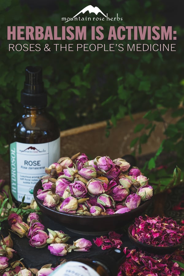 Herbalism Is Activism_Roses PIN