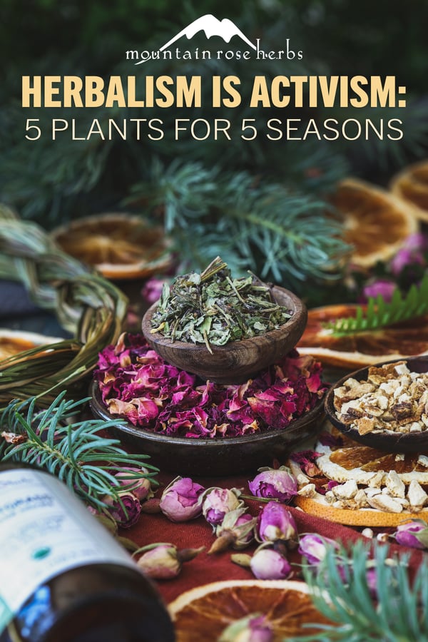 Herbalism is Activism PIN