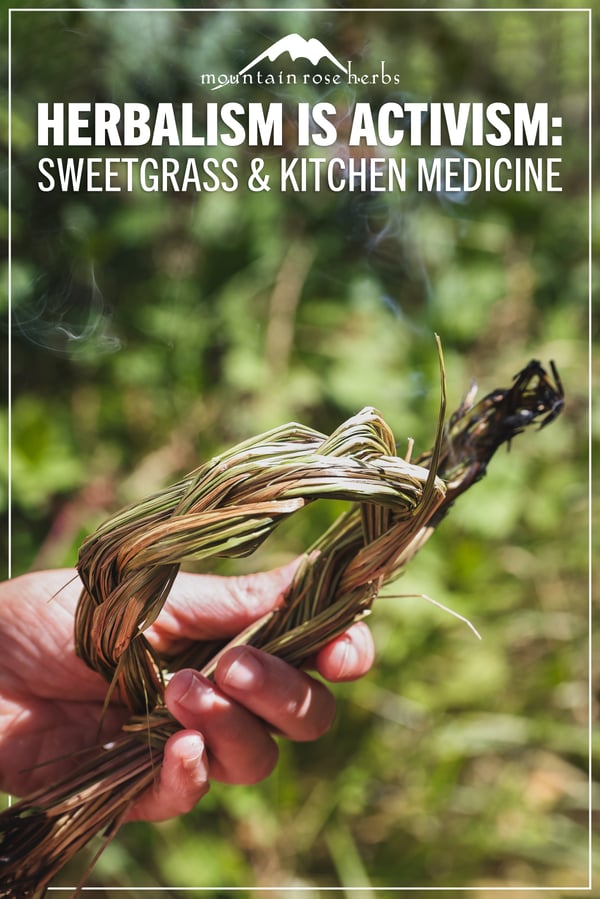 Herbalism is Activism Pt 3_PIN