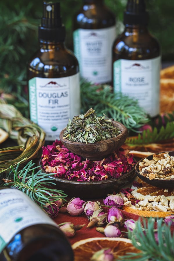 Herbalism is Activism Vertical