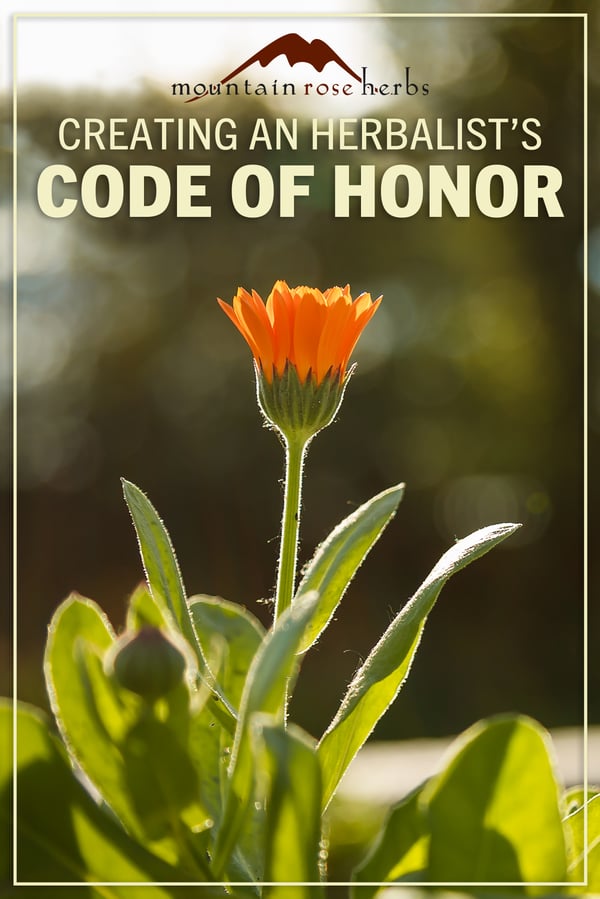 Mountain Rose Herbs PIN photo