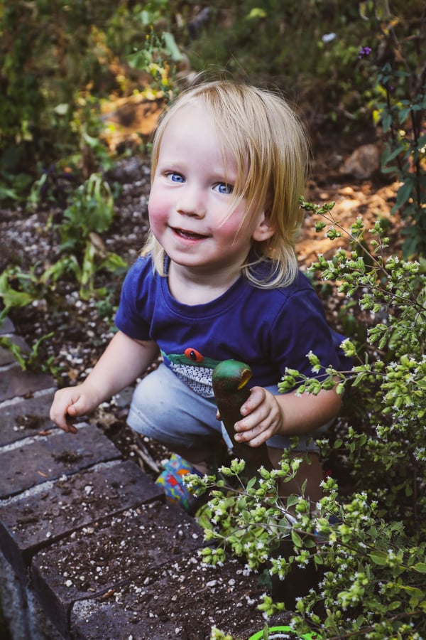 Small child in garden holding trowel