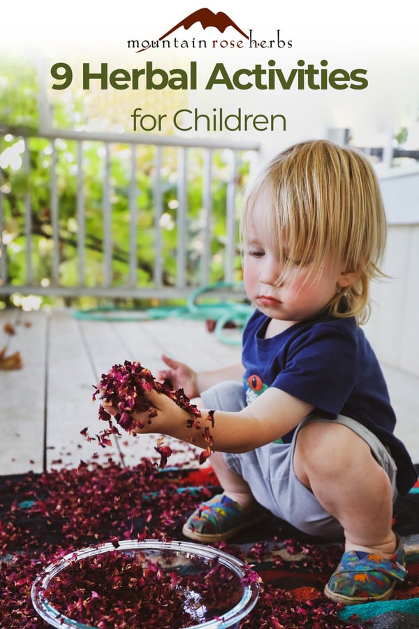 Pinterest Photo for 9 herbal activities for children blog