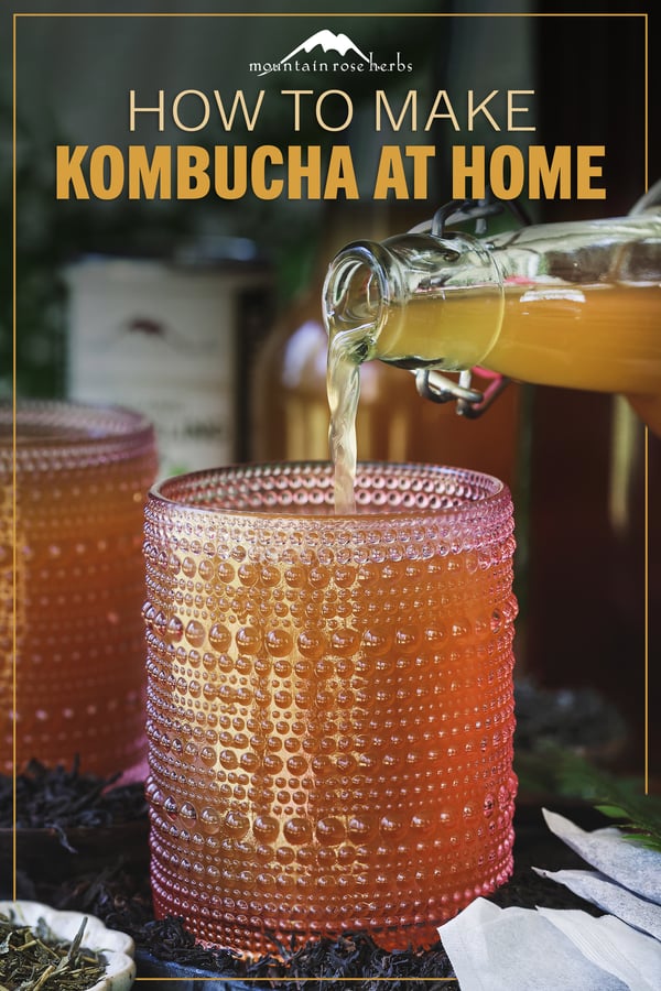 How To Brew Kombucha PIN