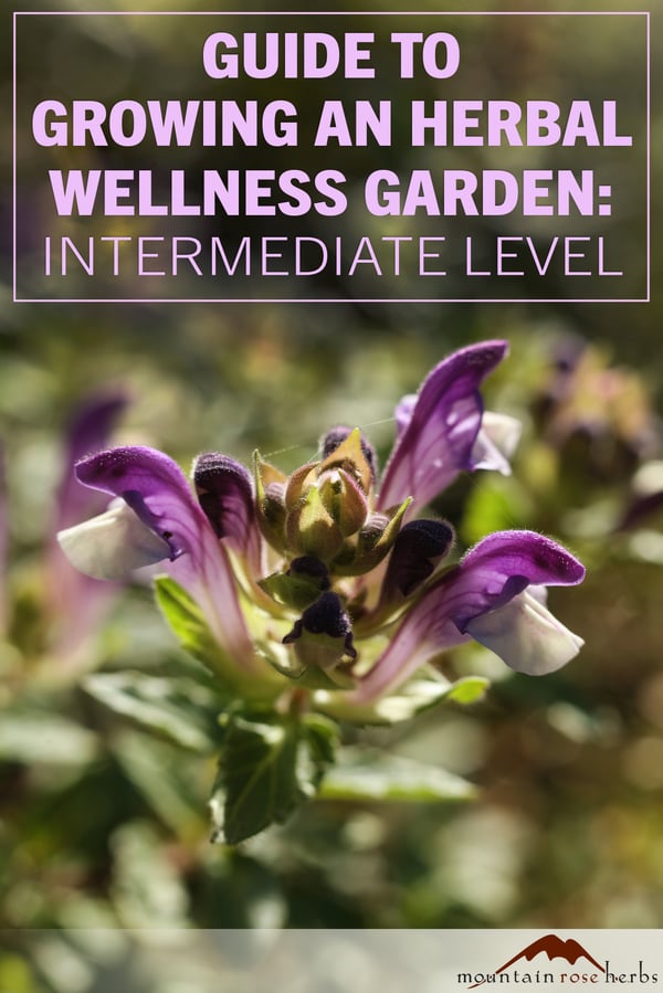 Mountain Rose Herbs PIN photo