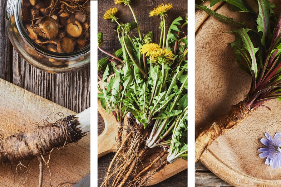 Three inulin rich herbs and their roots