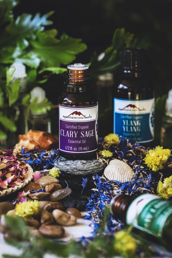 An assortment of essential oils surrounded by shells and flowers